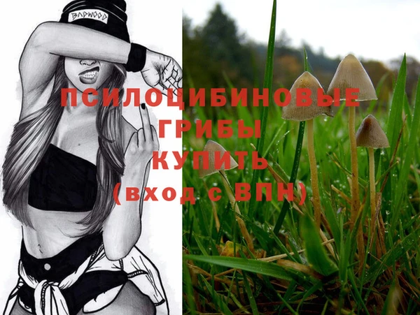 метадон Усинск