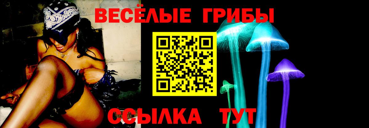 Псилоцибиновые грибы Magic Shrooms  Галлюциногенные грибы прущие грибы  Волгодонск  Вход с VPN 